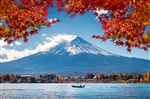 Du lịch Nhật Bản Hè - Tokyo - Fuji Mountain - Nagoya - Kyoto - Osaka từ Hà Nội 2024