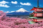 Du lịch Nhật Bản mùa Hoa Anh Đào - Nagoya - Osaka - Kyoto - Fuji Moutain - Tokyo từ Hà Nội 2024