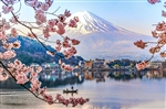 Du lịch Nhật Bản mùa Hoa Anh Đào - Nagoya - Osaka - Kyoto - Fuji Moutain - Tokyo từ Hà Nội 2024